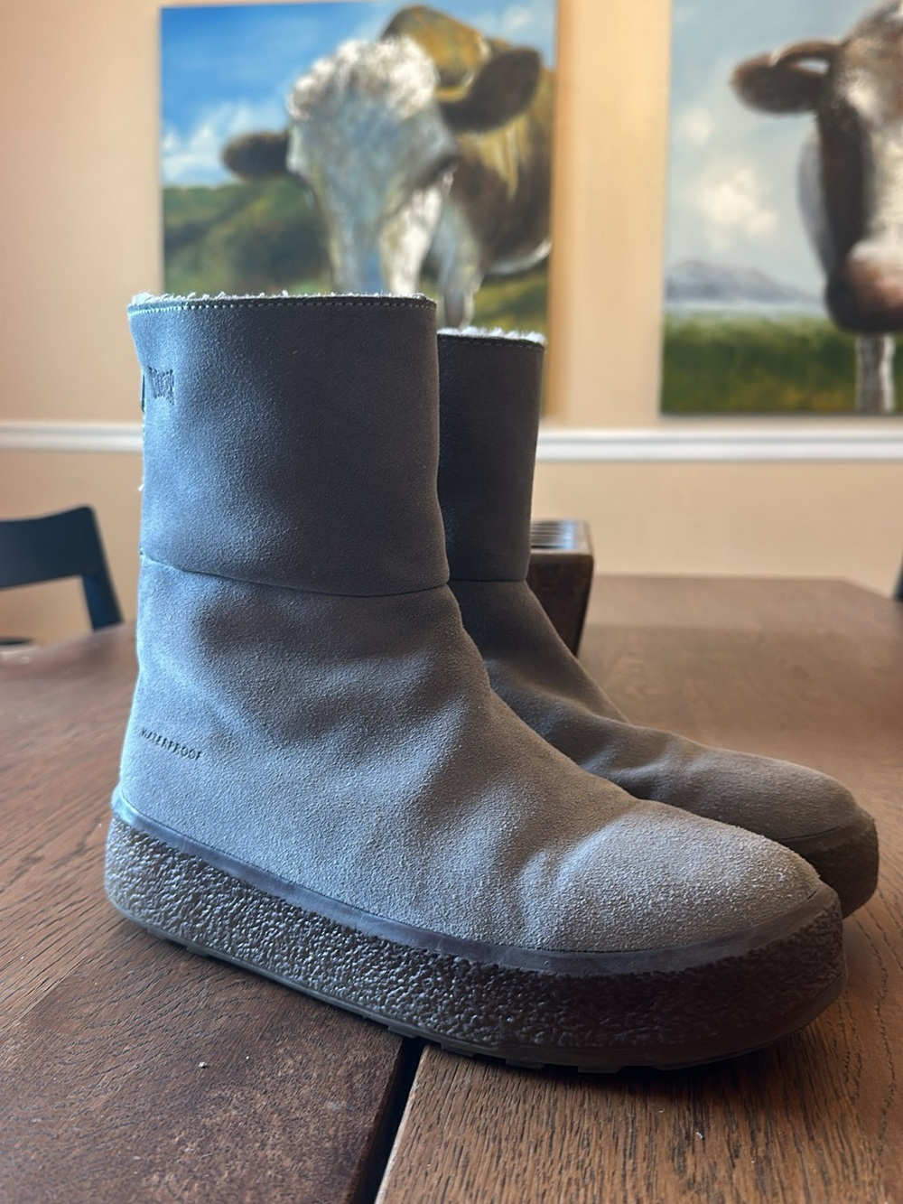 Cougar Waterproof Women’s Short Suede Boot - GreyBlue